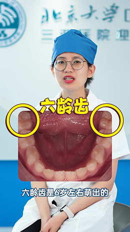 什么是六齡齒？
